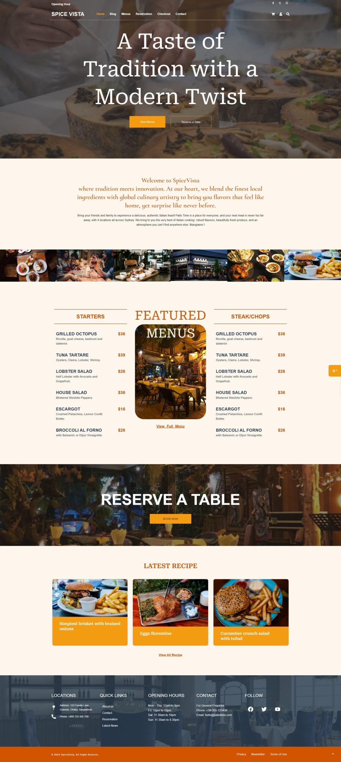 Spice Vista portfolio demo webstie
